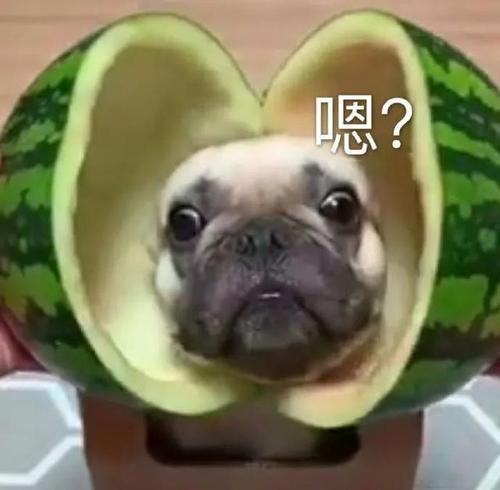 王思聪的舔狗文案