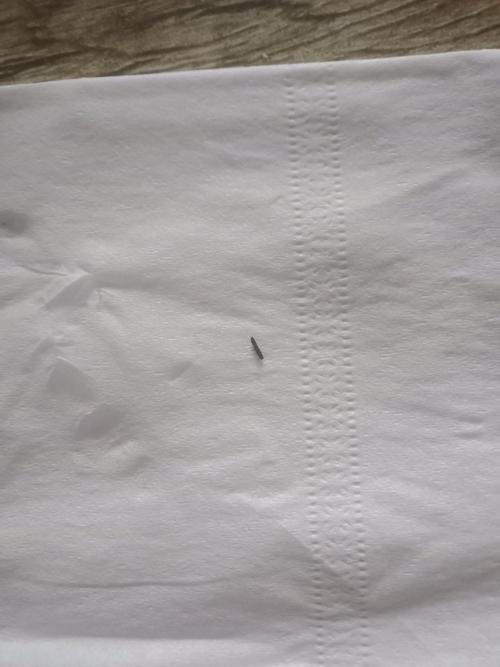 想问一下内裤上发现的这个是什么虫子?