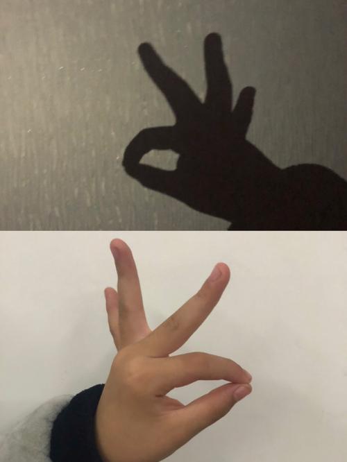 快乐的手影游戏