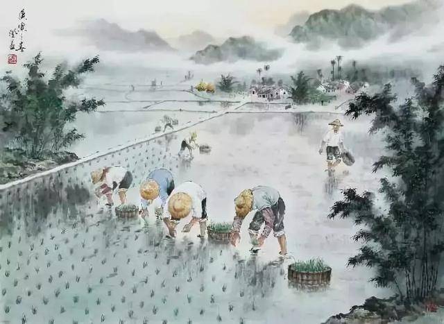 过了61就够了?杭州首届插秧节:面朝农田背朝天,浑水摸鱼忙偷闲