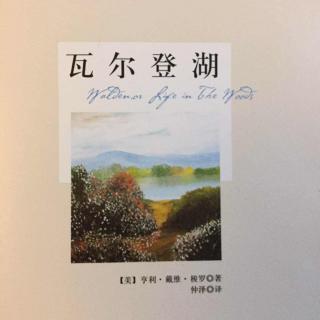 瓦尔登湖 6
