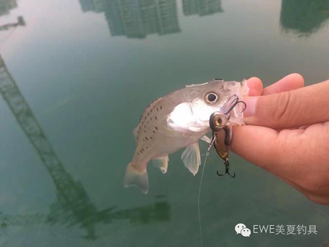 美夏ewe逗逗震颤vib路亚4.5g6.