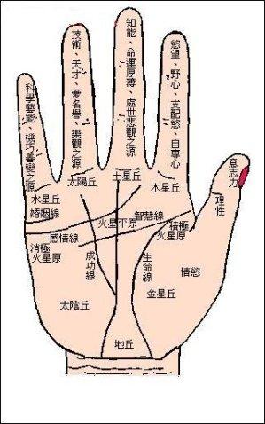 从手相和八字命理解读恋母情节