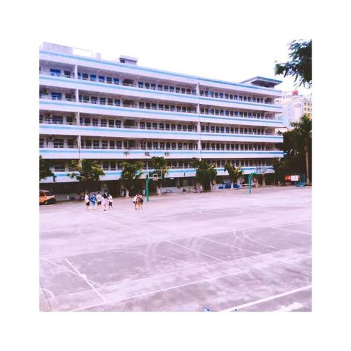 常平中学初中部 | 凤凰花熟悉地绽放了