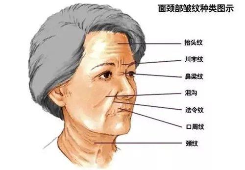 观皱纹 知病变