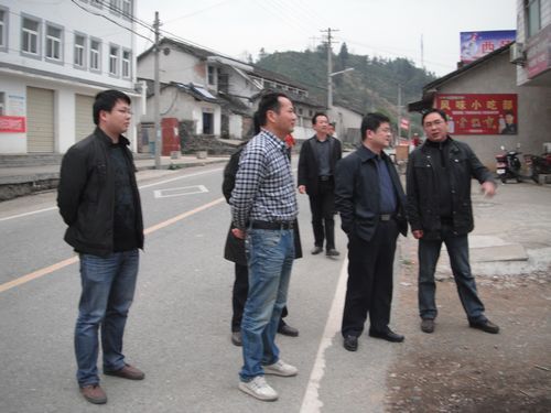 石台县领导到大演乡指导美好乡村创建工作