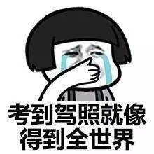 表情包丨学驾照就是一段催人泪下的时光-搞笑频道