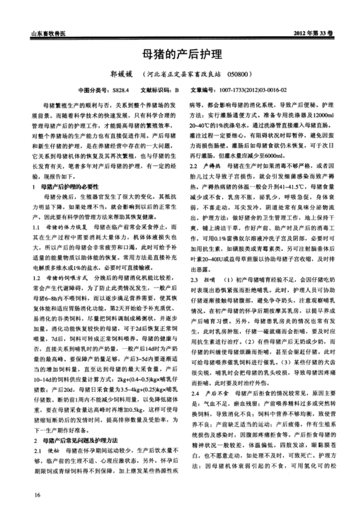 母猪的产后护理