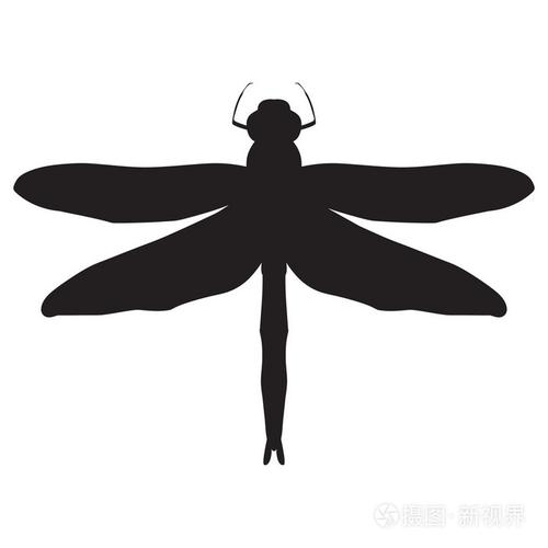 一只蜻蜓的黑白插图.孤立在白色背景上的蜻蜓