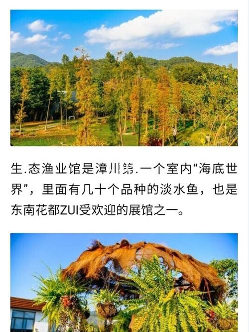漳州东南花都景点旅游攻略游记_景点_旅游攻略_游记_旅游_休闲娱乐