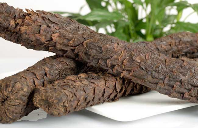 沙漠人参功效与作用沙漠人参肉苁蓉的功效作用及食用方法