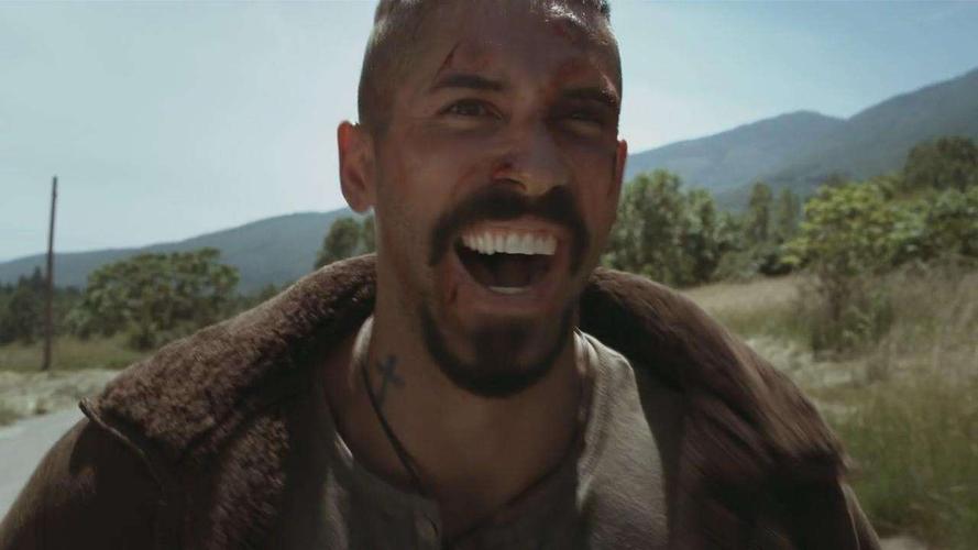 获得了自由的博伊卡