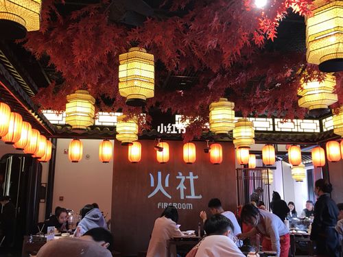 火社来邯郸啦!_邯郸金都饭店攻略_美食_奇异果_水果茶