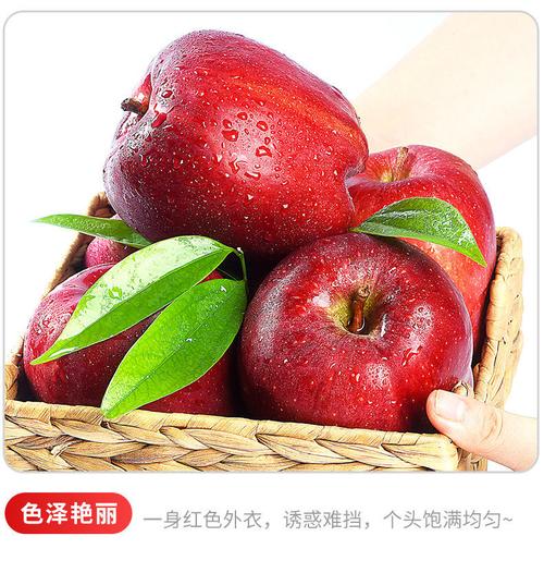 年货精选现货新果正宗天水花牛苹果水果新鲜3510斤脆粉甜红蛇果平果