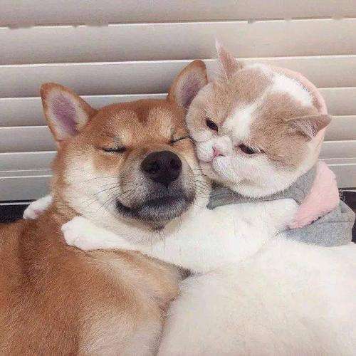 今日头像第一次见面看你不太顺眼谁知道后面越来越讨厌