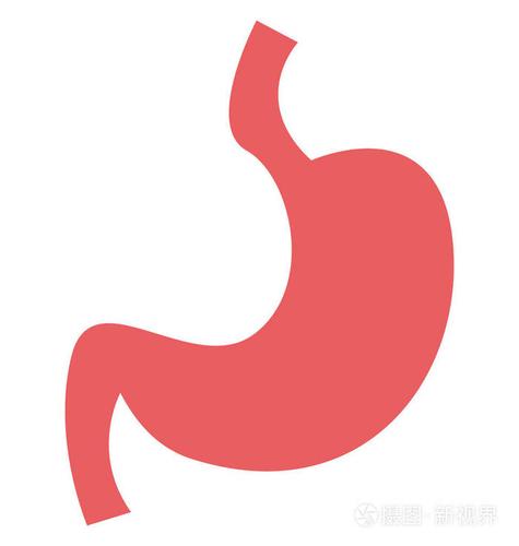 胃颜色隔离矢量图标完全可编辑