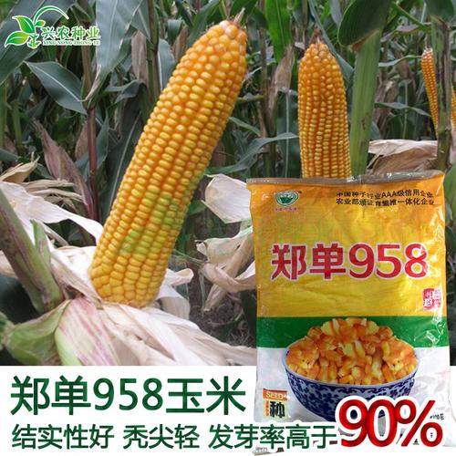 兴农种业一元批发的优惠券大全—郑单958玉米种子 大田菜园高产杂交