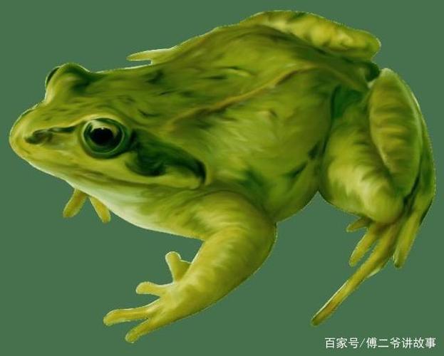 满族民间的青蛙人传说