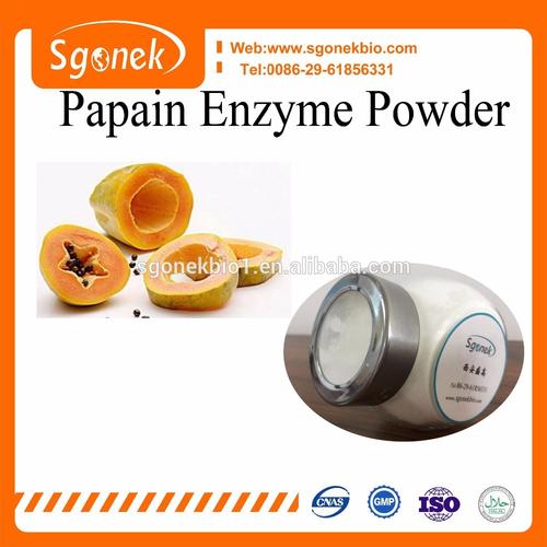 hot selling medical grade papain enzyme powder cas no.