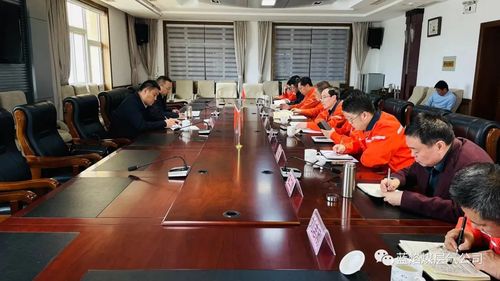 翟慧兵到蓝焰煤层气公司调研