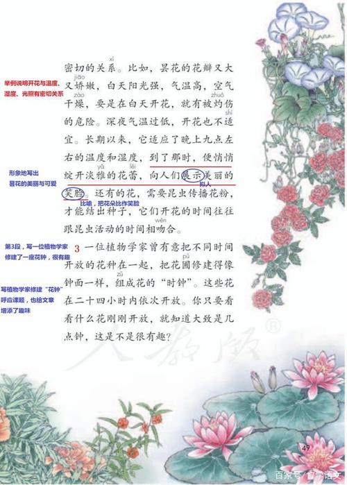 请根据课文内容,把植物名字填进图中方框里,完成花钟的制作.