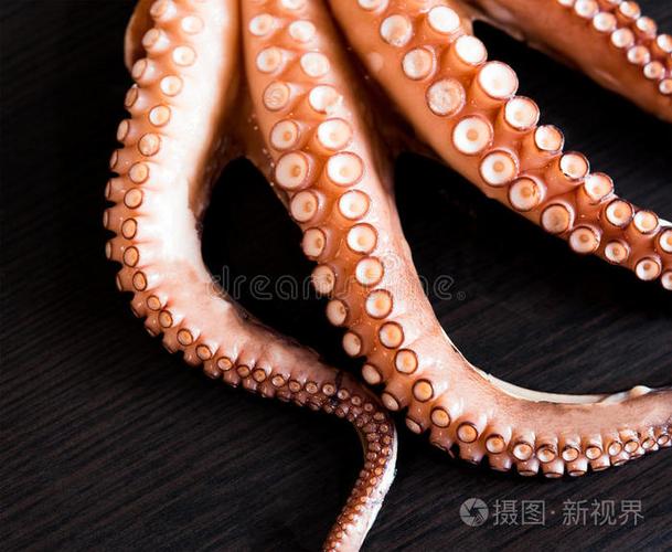 章鱼白底鲜墨鱼柠檬盘土豆章鱼海鲜章鱼色拉章鱼色拉鱼章鱼色拉章鱼