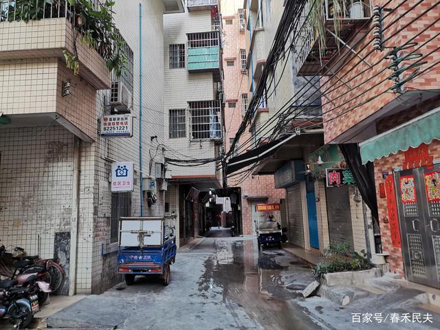 巷子古树宗祠,广州城中村,即将远去的记忆