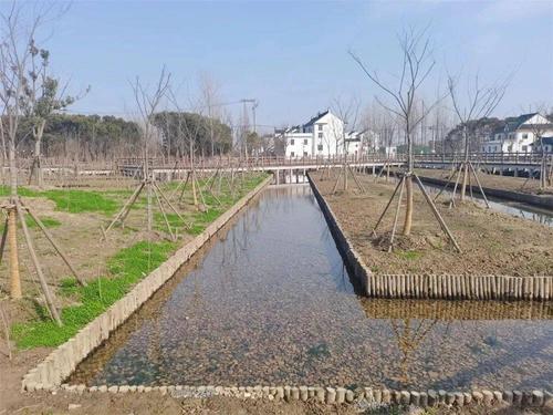 【探索】廊下郊野公园将新增7个景点,预计6月底对外开放!