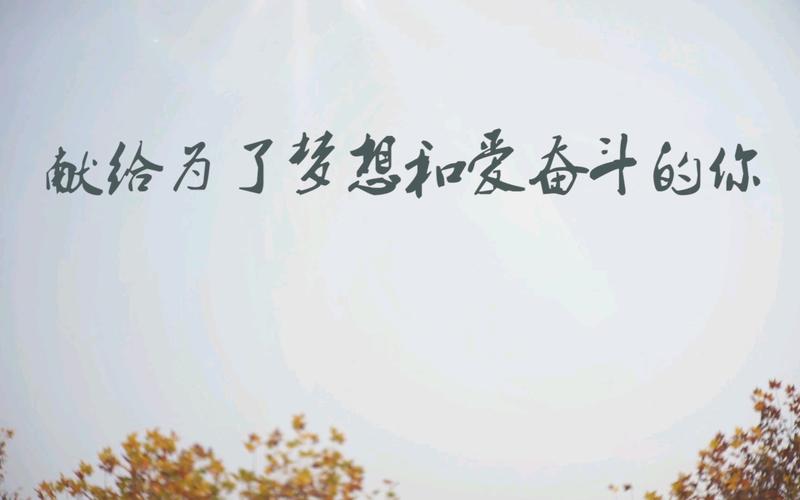 总有遇见一个和你一样努力的ta