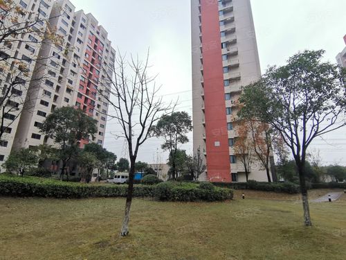 崧泽华城观景雅苑