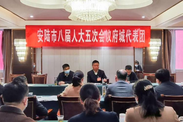 李先乔,胡明刚等领导参加安陆市八届人大五次会议分团
