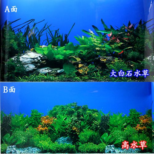 鱼缸背景纸 背景画高清 水族箱背景纸大白石水草 高水草高40cm