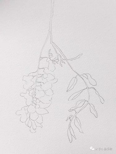 秋日渐盛时,画一枝槐花