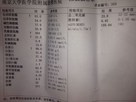 乳酸脱氢酶偏高或偏低的原因