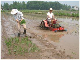 jd-18旋耕机耕船