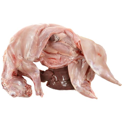 果果生鲜 新鲜白条兔子肉 生兔肉鲜兔肉满额包邮 三斤起拍