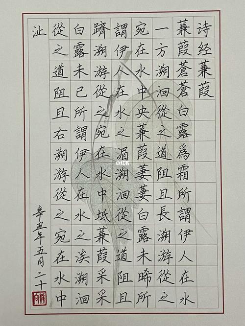 楷书|硬笔书法|诗经|《蒹葭》_硬笔书法_楷书_诗词_暑假_自律_兴趣