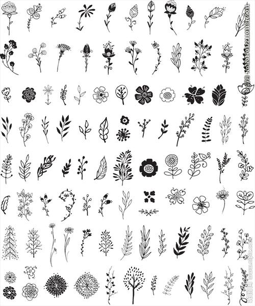 黑白矢量线描树叶花卉图片