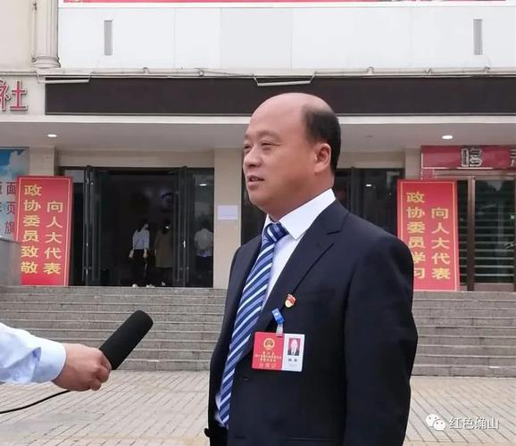 人大代表,政府工作报告,确山,确山县,乡村,食用菌,脱贫攻坚