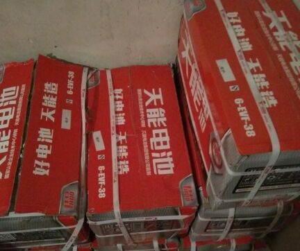 天能维护电池,4812-4820-4838-4845 - 200元