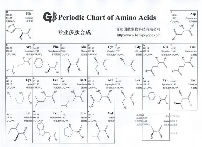 多肽序列中各种氨基酸英文缩写的含义