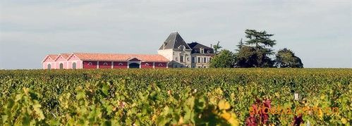 波美侯是波尔多各大葡萄酒最小产区