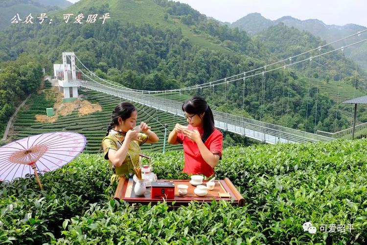 当传统茶道遇到昭平茶海现代6d玻璃桥,是怎样的体验?