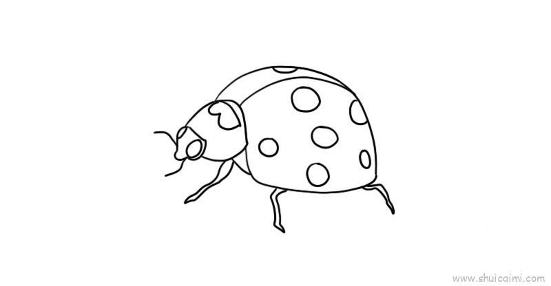 甲虫儿童画怎么画甲虫简笔画简单