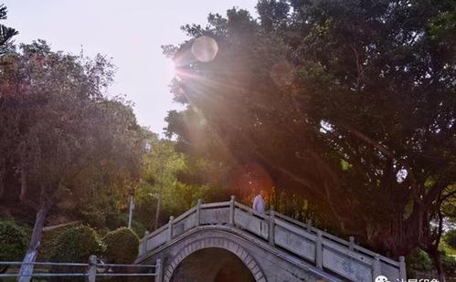 奎山公园为汕尾市最大的市民休闲公园,奎山公园以山为名,坐落在公园