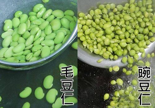 同样都是只食用豆仁的毛豆和豌豆:毛豆仁为扁圆状,豌豆仁则较浑圆.