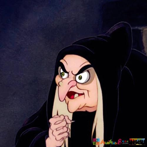 公主 灰姑娘 白雪公主 女巫 巫婆 王子 复古 原版动画 女生头像 动漫