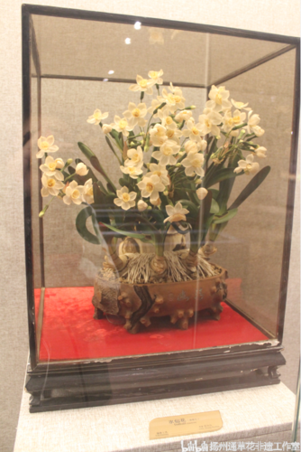 传统手工艺非遗通草花