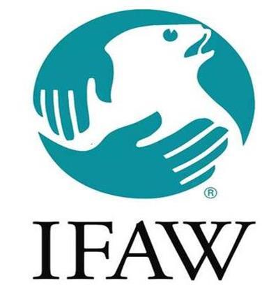 3,国际爱护动物基金会