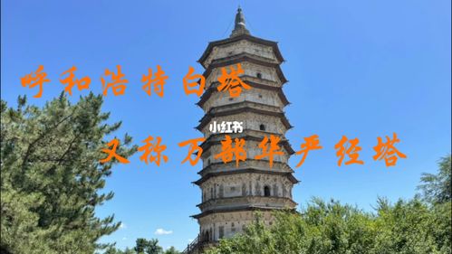 呼和浩特白塔_白塔自由行热门攻略_景点_本地人去哪玩